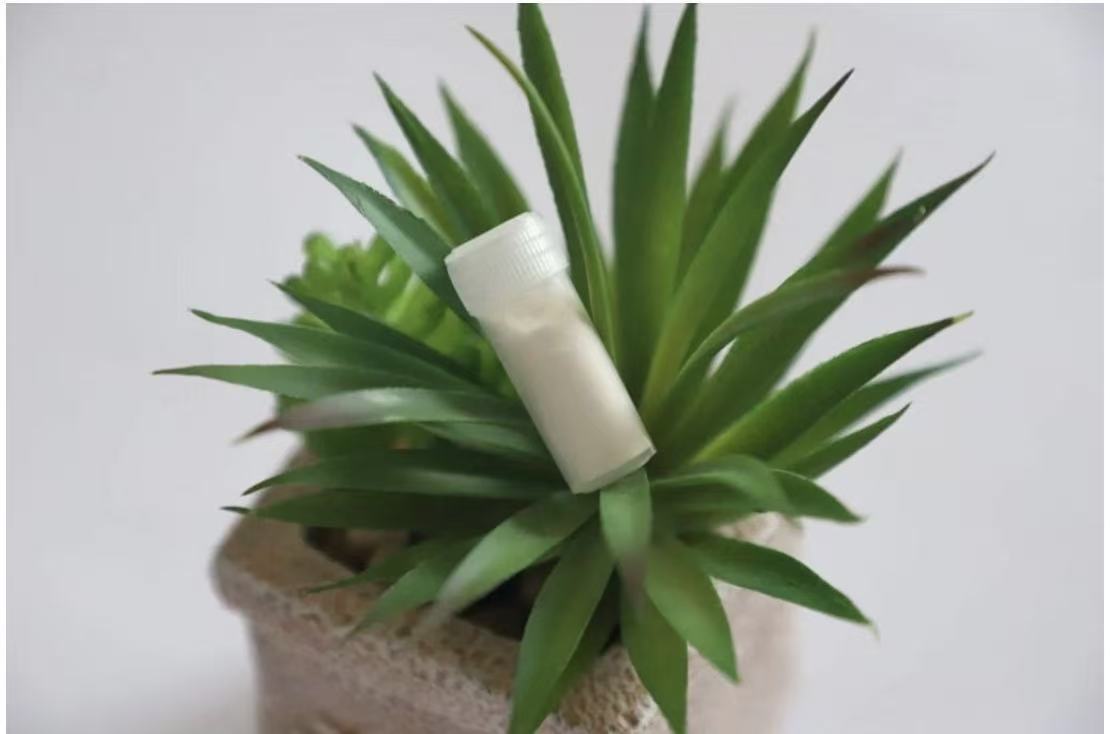 A10【失忆粉】10g